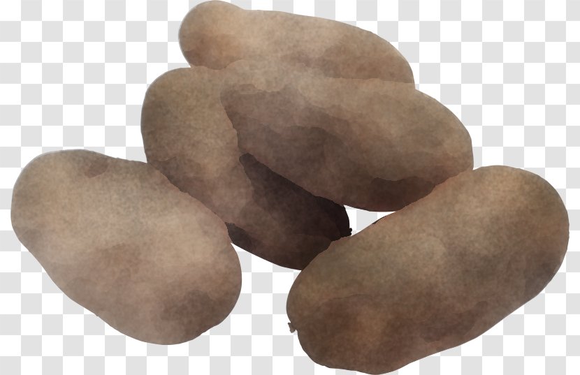 Pebble Rock Potato Food Plant - Solanum - Vegetable Transparent PNG