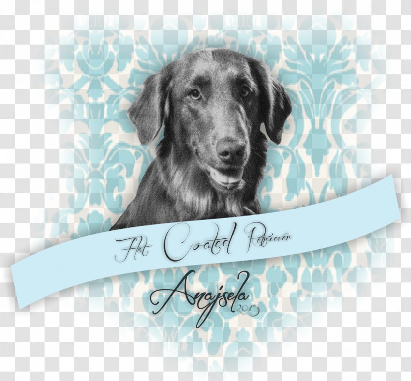 Labrador Retriever Flat-Coated Puppy Dog Breed - Flatcoated Transparent PNG