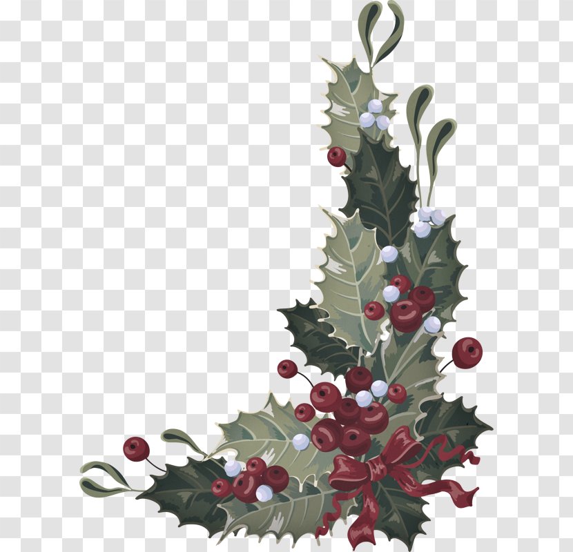 Christmas Decoration - Twig - Fir Transparent PNG