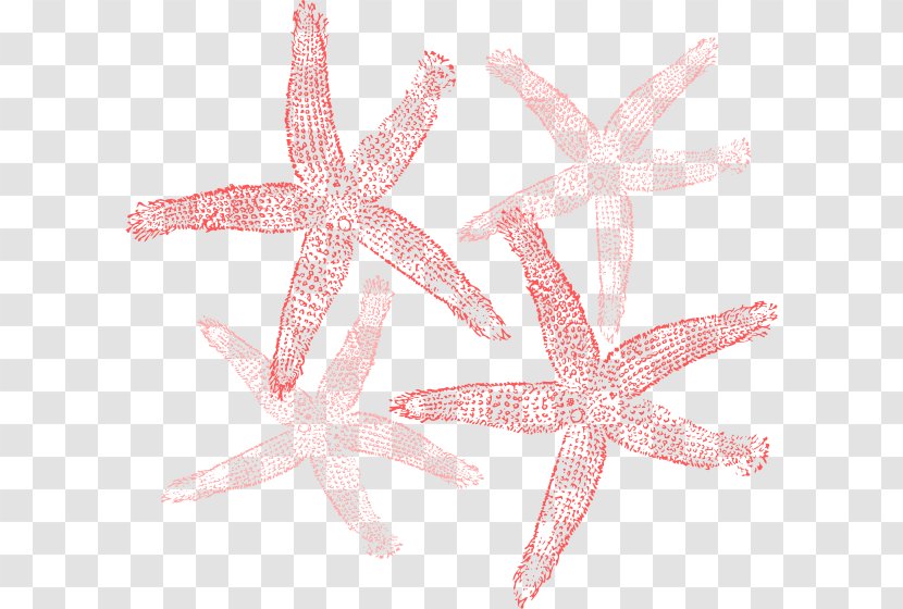 Starfish Clip Art - Invertebrate - Print Clipart Transparent PNG