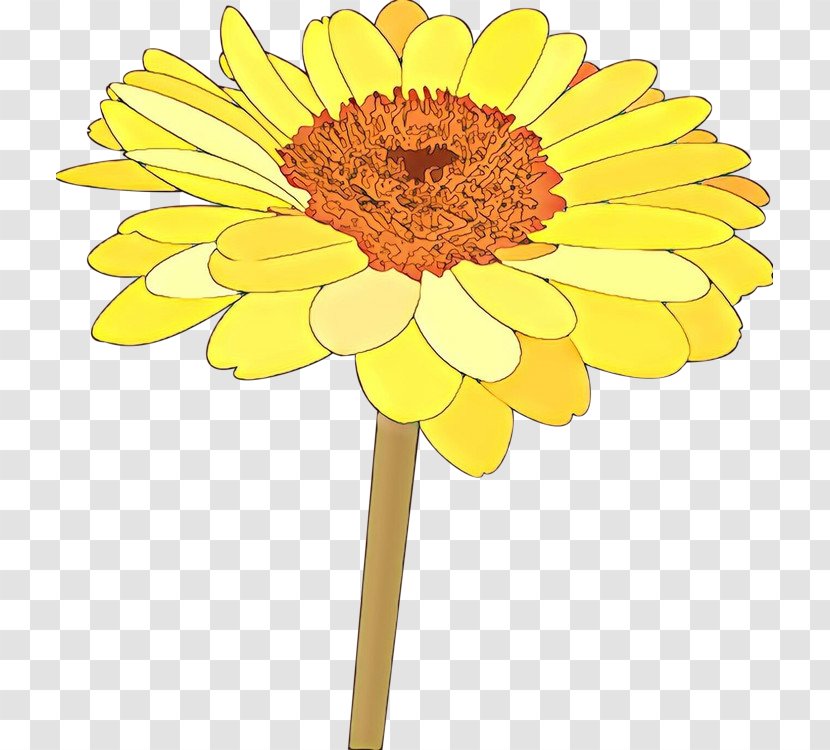 Sunflower - English Marigold Transparent PNG