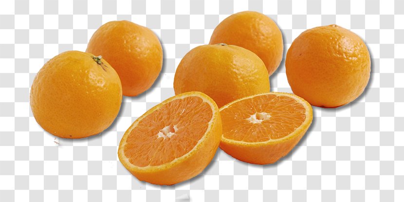 Clementine Tangerine Tangelo Mandarin Orange Transparent PNG