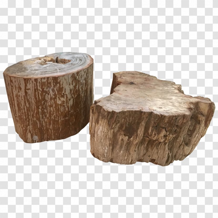 Table Furniture Petrified Wood Petrifaction - Tables Transparent PNG