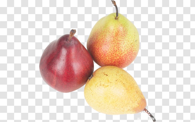 Pear Accessory Fruit Natural Foods Transparent PNG