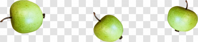 Apple Download Clip Art - Pretty Green Transparent PNG