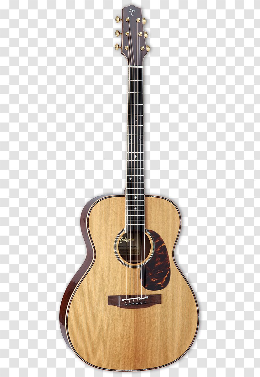 Steel-string Acoustic Guitar Dreadnought Electric - Frame - Takamine Transparent PNG