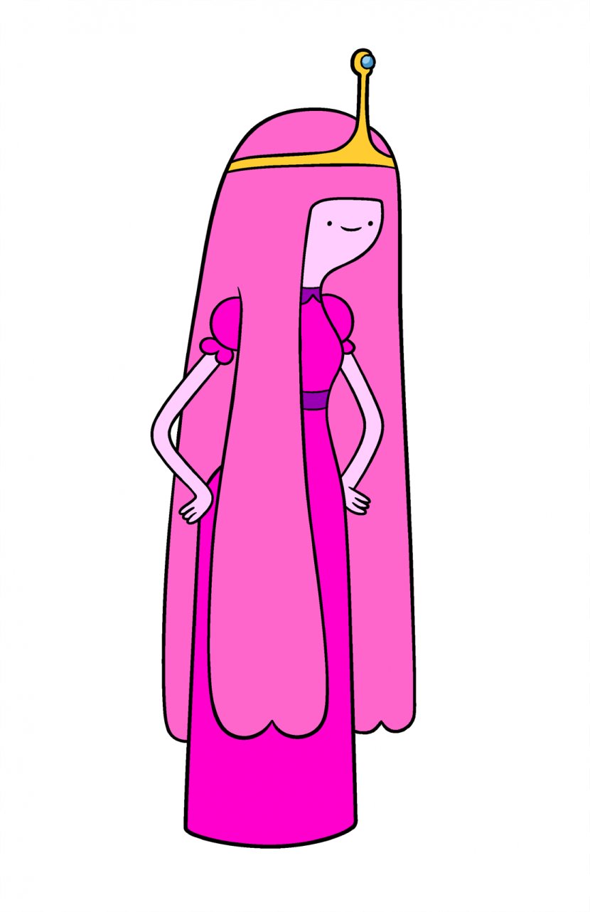 Finn The Human Jake Dog Ice King Marceline Vampire Queen Princess Bubblegum - Cartoon - Adventure Time Transparent PNG