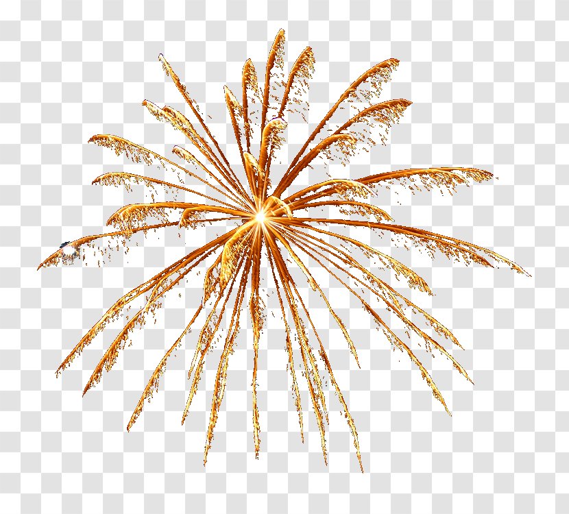 Fireworks Firecracker Clip Art Transparent PNG