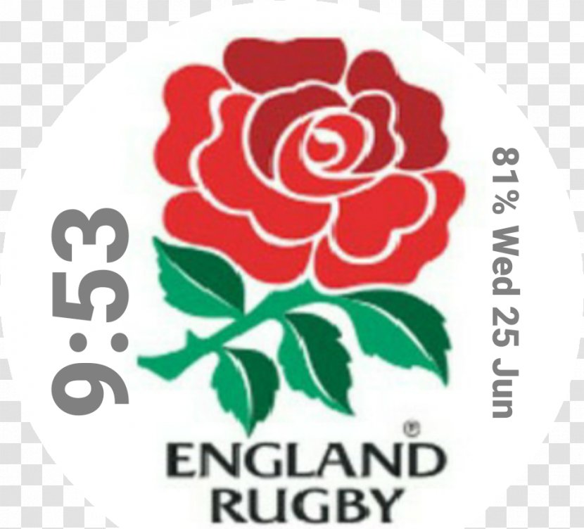 England National Rugby Union Team South Africa Six Nations Championship Irish - Logo Transparent PNG