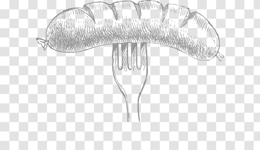Invertebrate Sketch - Organism - Sausage Grill Transparent PNG