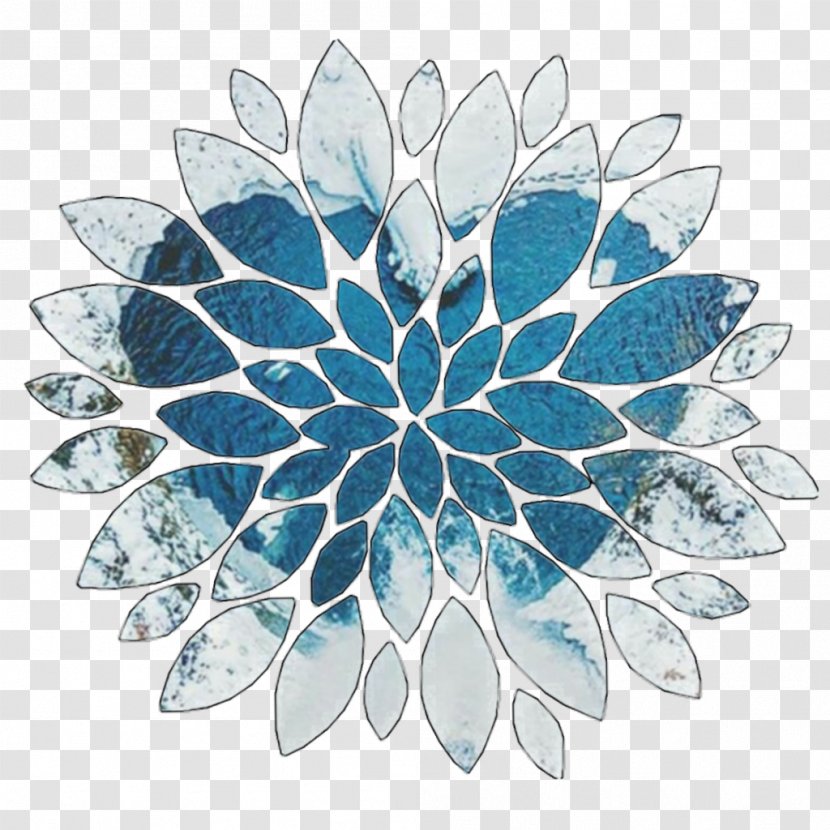 Leaf Aqua Glass Plant Pattern - Symmetry Transparent PNG