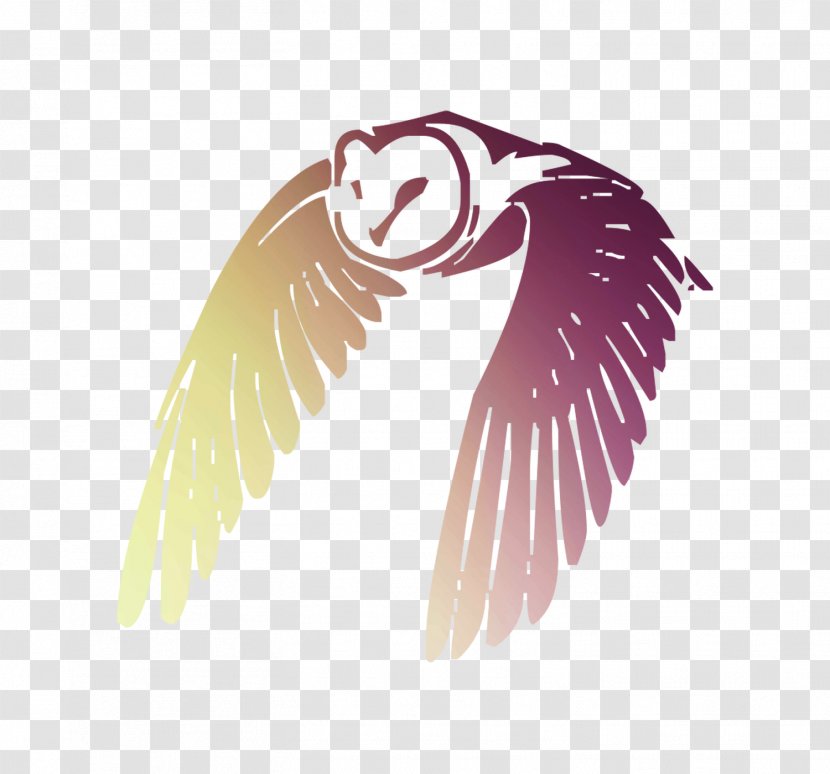 Owl Bird Flight Image Feather - Stock Photography Transparent PNG