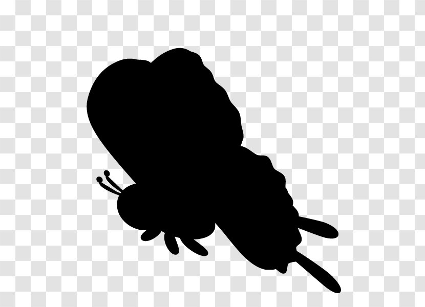 Silhouette Silkie Egg Urban Chicken - Decal Transparent PNG