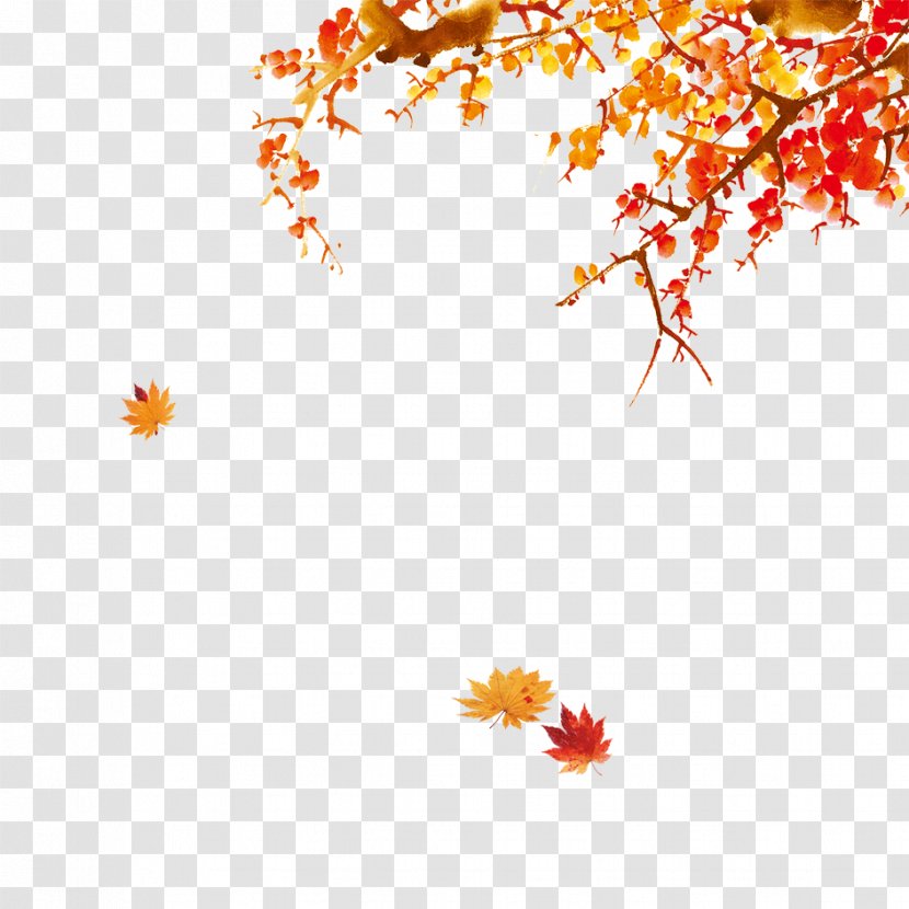 Chinese New Year Bainian - Autumn Leaves Are Beautiful Transparent PNG