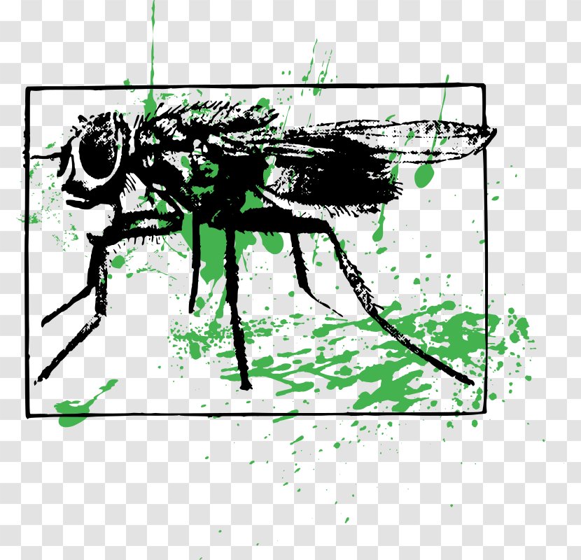 Disease Clip Art - Black And White - Insect Transparent PNG