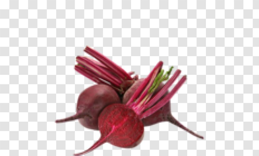 Vegetarian Cuisine Beetroot Indian Juice Vegetable Transparent PNG