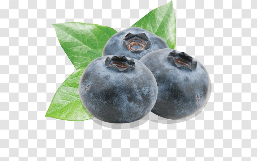Blueberry Bilberry Fruit Driscoll's - Prune - Blueberries Transparent PNG