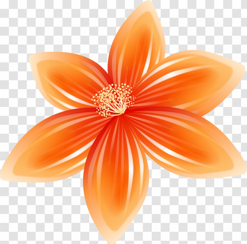Cut Flowers Petal - Peach - Dahlia Transparent PNG