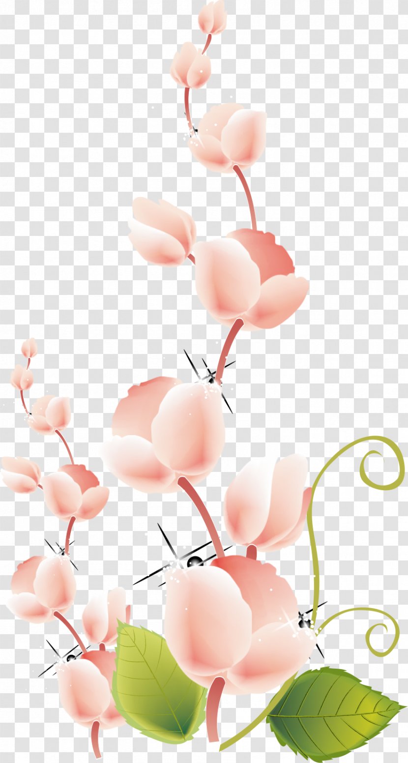 Drawing Photography Clip Art - Stock Footage - Red Flower Transparent PNG