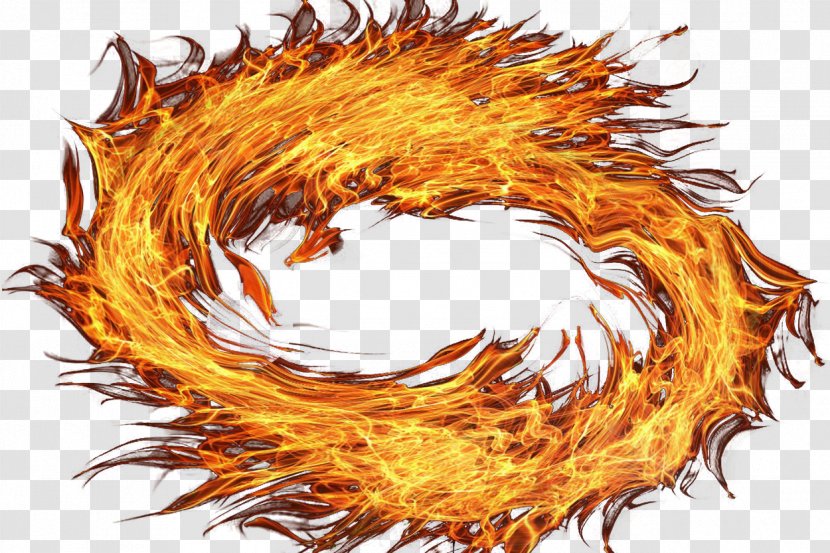 Fire - Tree - Watercolor Transparent PNG