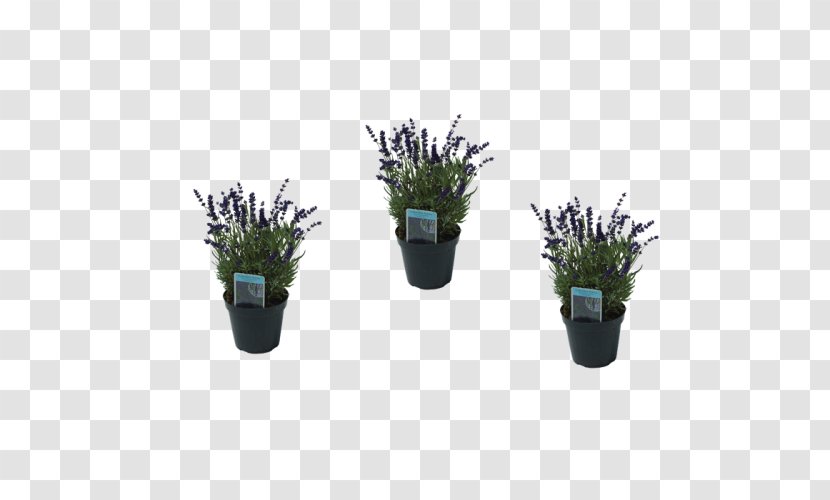English Lavender Plastic Flowerpot Artificial Flower - Herb Transparent PNG