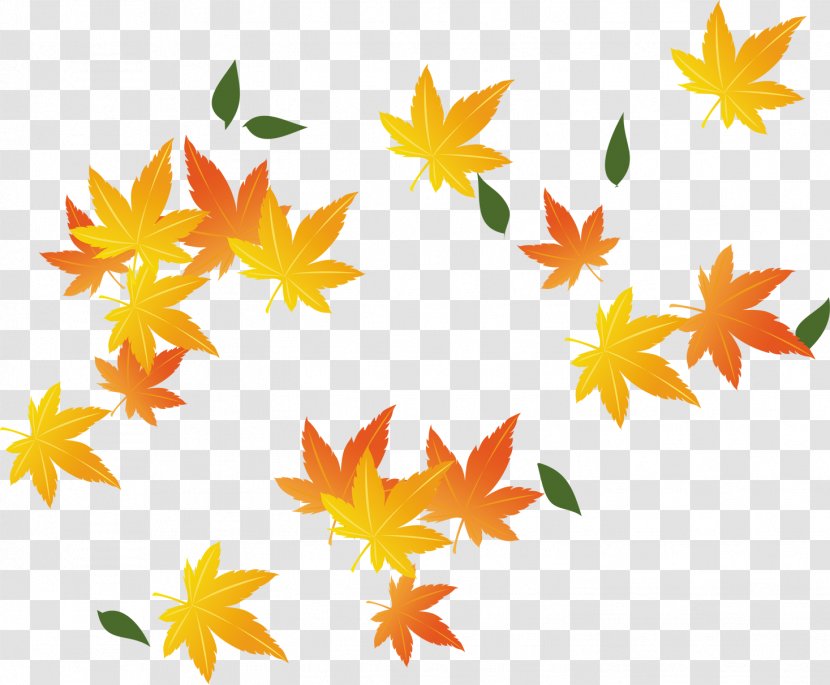 Red Maple Leaf - Tree - Painted Yellow Leaves Falling Transparent PNG