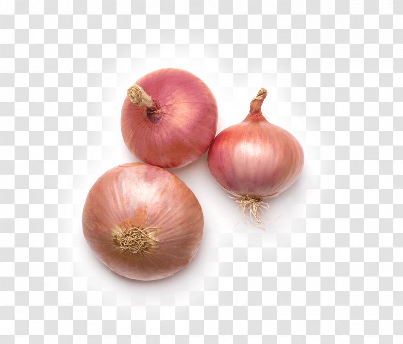 Yellow Onion Shallot Figueres Garlic Ryvita - CEBOLLA Transparent PNG