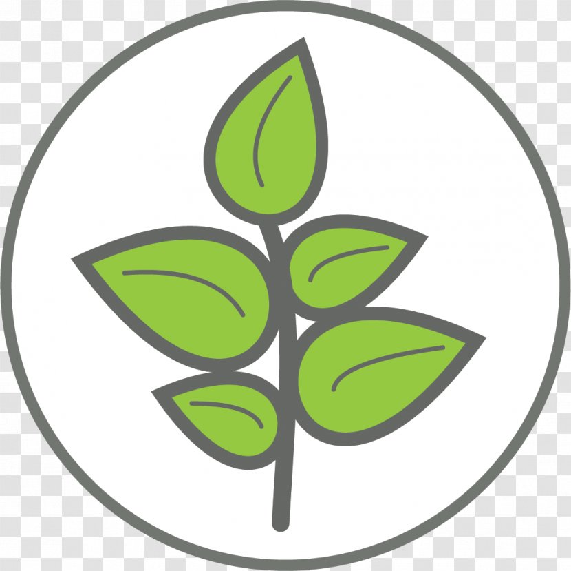 Green Leaf Logo - Plant Stem - Emblem Transparent PNG