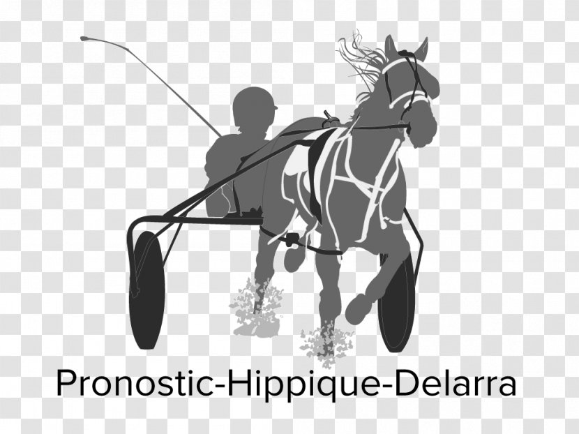 Horse Racing PARI MUTUEL URBAIN Dreierwette Course De Chevaux - Black And White - Training Courses Transparent PNG