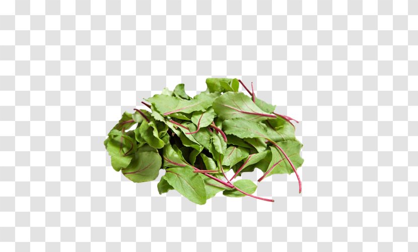 Chard Leaf Vegetable Salad Arugula - Vegetarian Food Transparent PNG