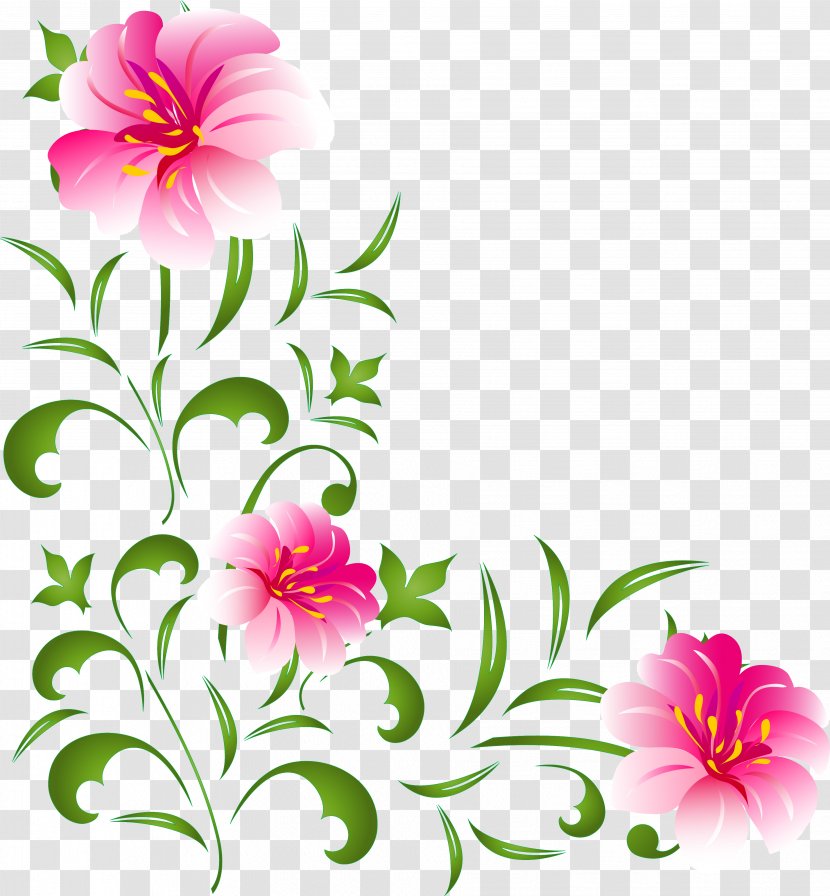 Floral Design Garden Cosmos Mallows Cut Flowers - Daisy Family - Flower Transparent PNG