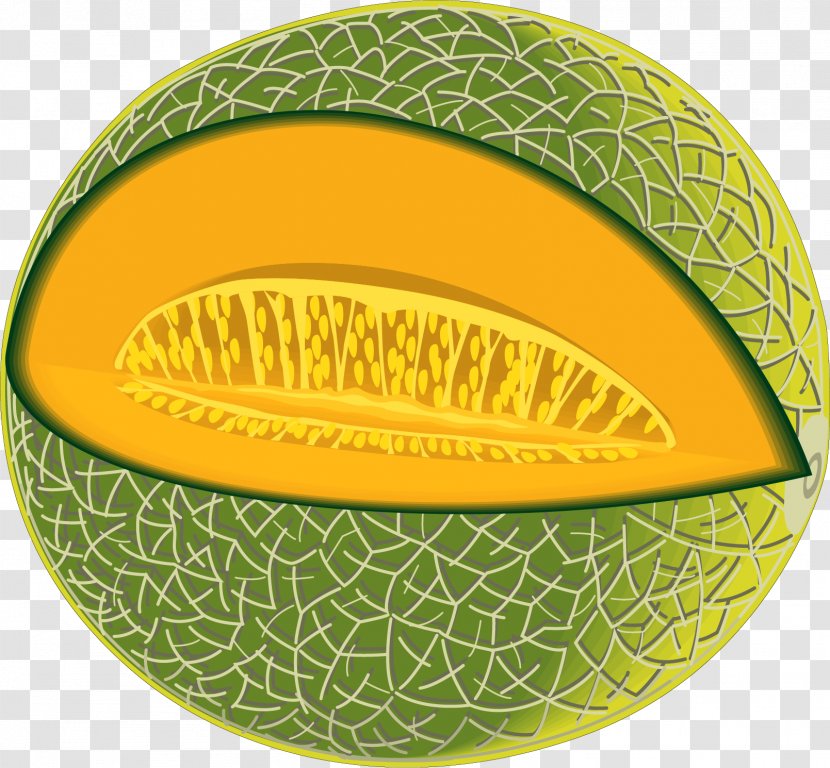 Cantaloupe Honeydew Korean Melon Clip Art - Stock Photography - Vector Hand-drawn Transparent PNG