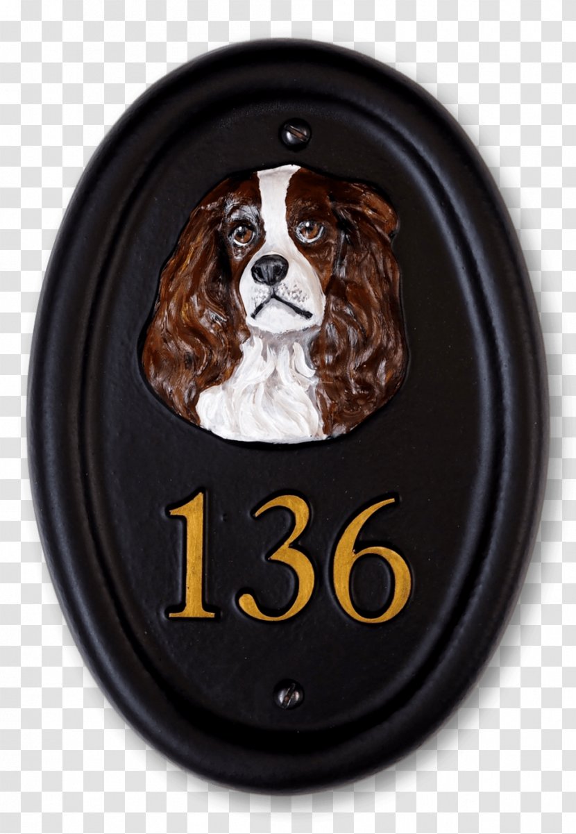 Spaniel - Dog Transparent PNG