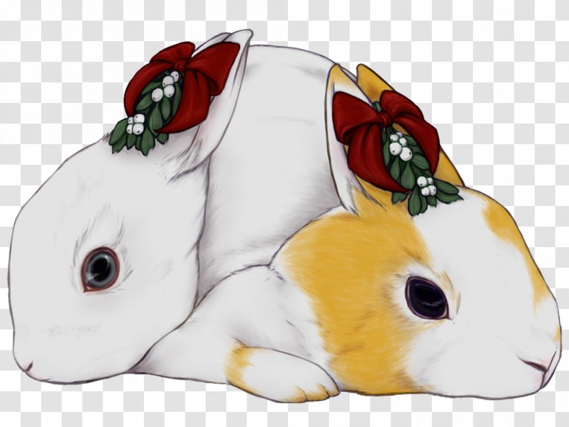 Domestic Rabbit European Christmas Day Image - Snout - Mistletoe White Berries Transparent PNG
