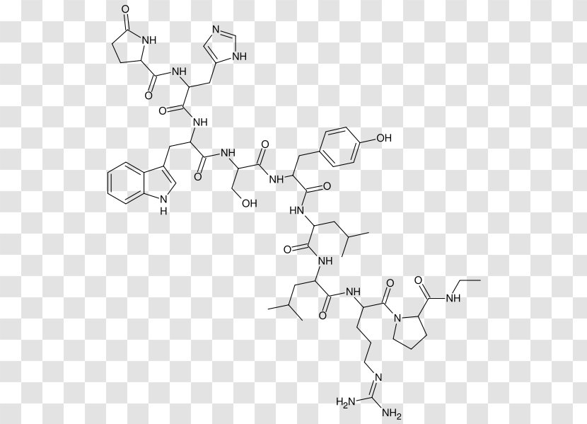 Buserelin Gonadotropin-releasing Hormone Agonist Leuprorelin - Thyrotropinreleasing - Gonadotropinreleasing Receptor Transparent PNG
