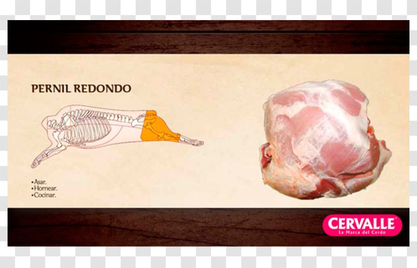 Domestic Pig Ham Pork Ribs Pig's Ear - Bandato Transparent PNG