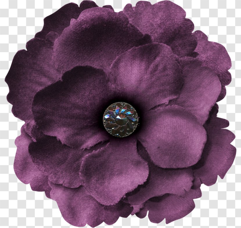 Petal Flower Purple Polyvore - Personal Identification Number Transparent PNG