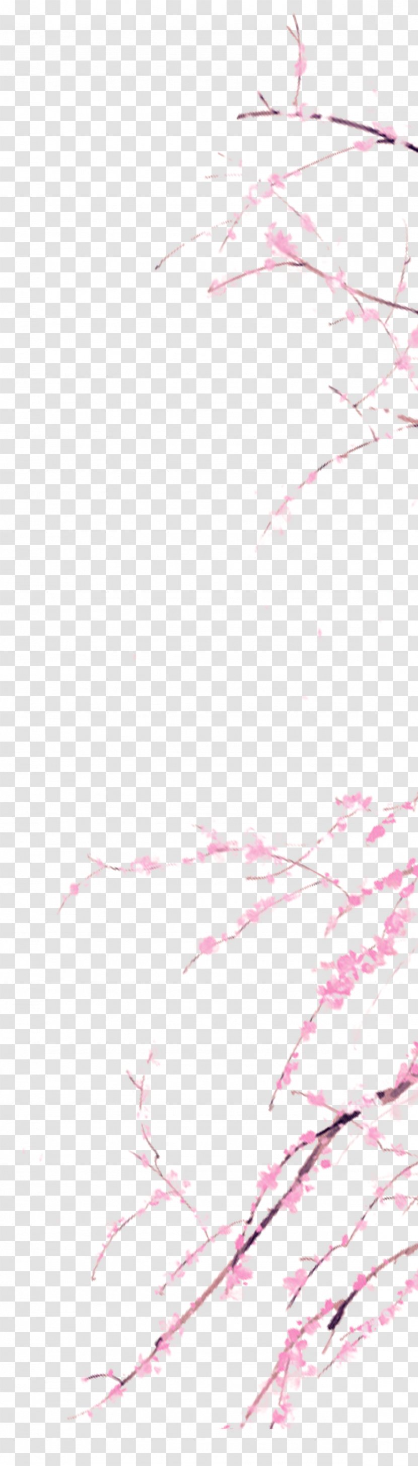 Watercolor Painting Pink - Flower - Peach Branches Decorative Patterns Transparent PNG