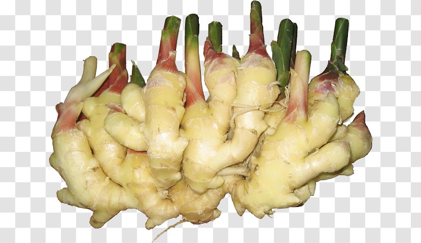 Ginger Food Vegetable Turmeric Allium Fistulosum - Tuber - A Bud Transparent PNG