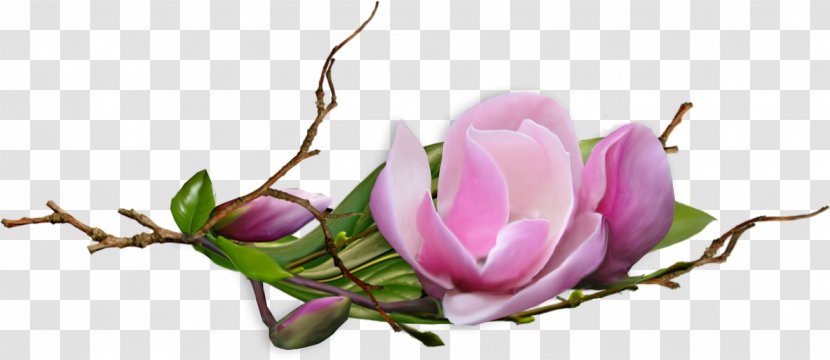 Flower Clip Art - Pink - Lilac Transparent PNG