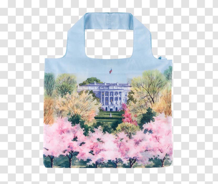 White House Historical Association Tidal Basin Cherry Blossom First Lady Of The United States - Helen Herron Taft - Watercolor Transparent PNG