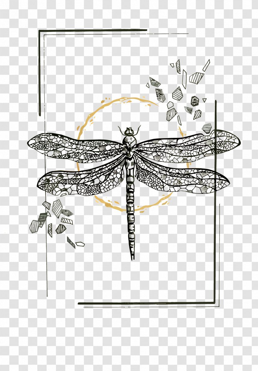 Insect DeviantArt - Art - Vector Dragonfly Transparent PNG