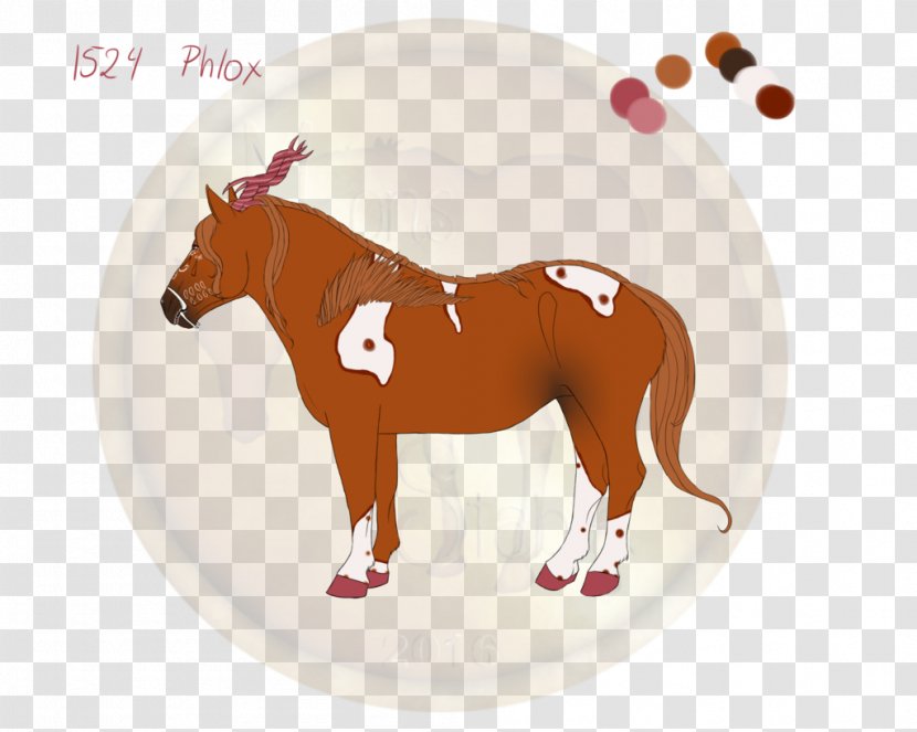 Mustang Stallion Horse Tack Freikörperkultur Yonni Meyer - Mane Transparent PNG