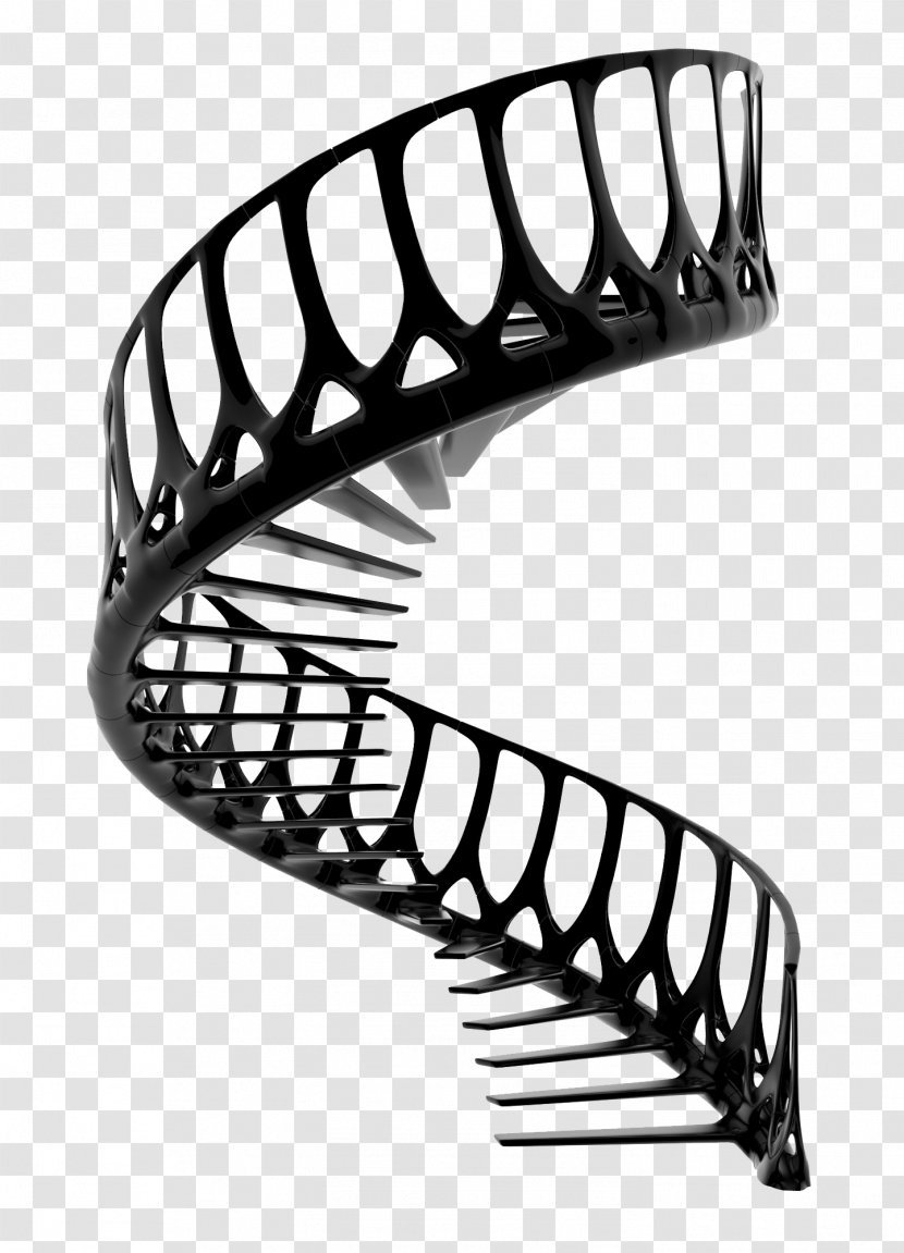Staircases Kitchen Utensil Vertebral Column Design Spinal Cord - Home Appliance - Black And White Transparent PNG