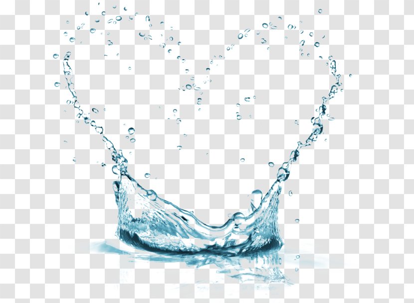 Desktop Wallpaper Image Adobe Photoshop PicsArt Photo Studio - Neck - Water Transparent PNG