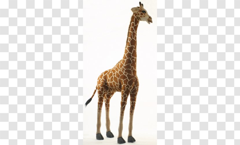 Giraffe Neck Stuffed Animals & Cuddly Toys Wildlife - Centimeter Transparent PNG