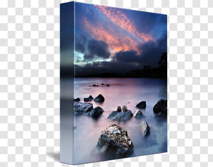 Bring Me Their Hearts Book Publication Sky Writing - Phenomenon - Hermit Crab Transparent PNG