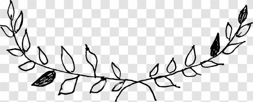 Twig Plant Stem Line Art Clip - Material - Hand Drawn Wreaths Transparent PNG