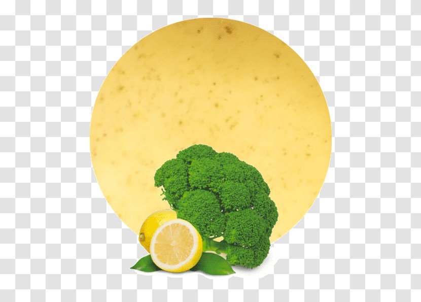 Lime Juice Lemonconcentrate - Celery - Broccoli Transparent PNG