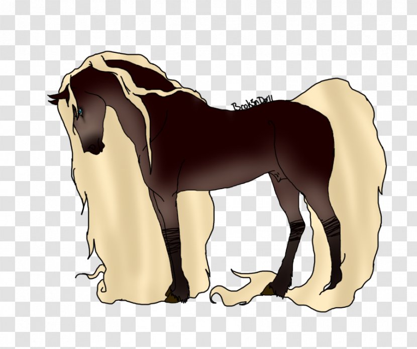 Mustang Foal Stallion Colt Mare - Yonni Meyer - Little Man Transparent PNG